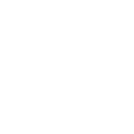 Icons-Vialit-Asphalt_Leistungen